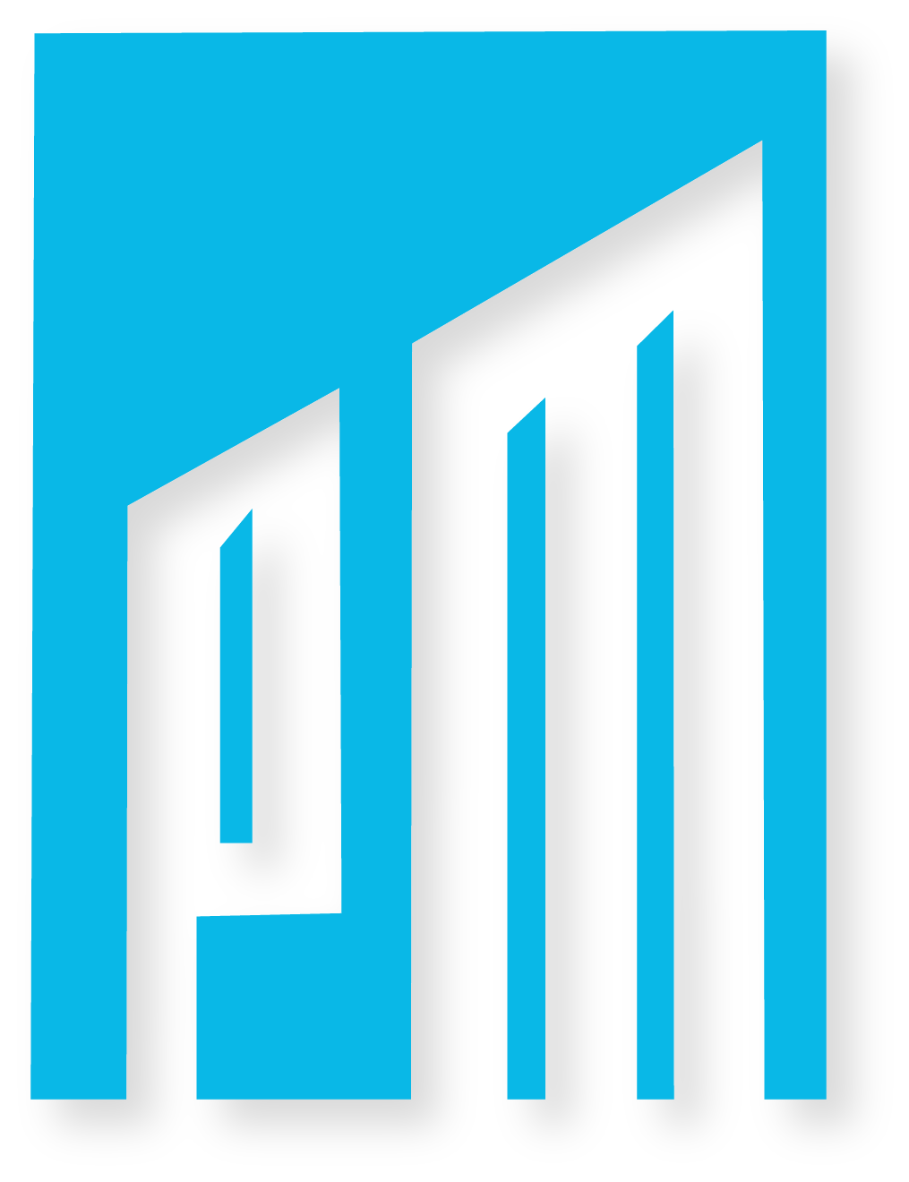 Peacemaker Inspections Logo